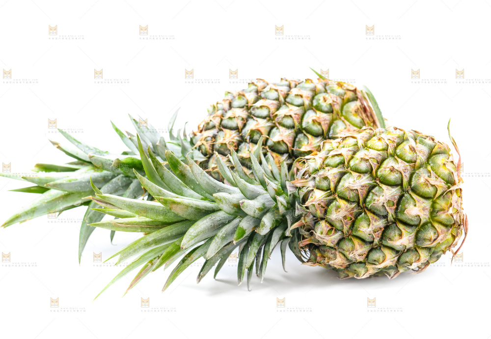 浅底上的海南凤梨