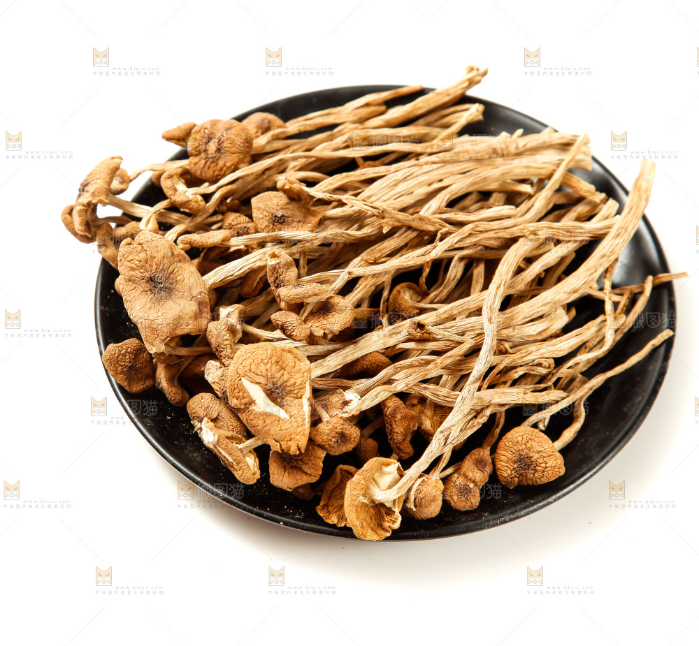 白底上的茶树菇