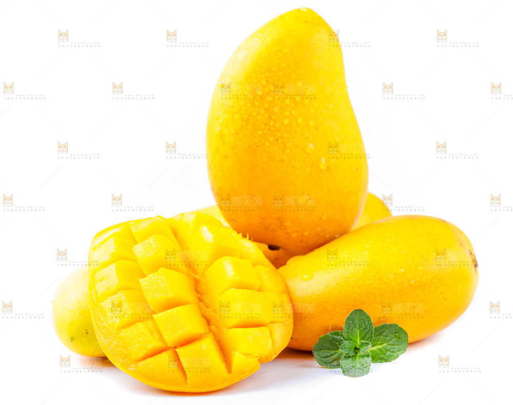 白底上的小台芒