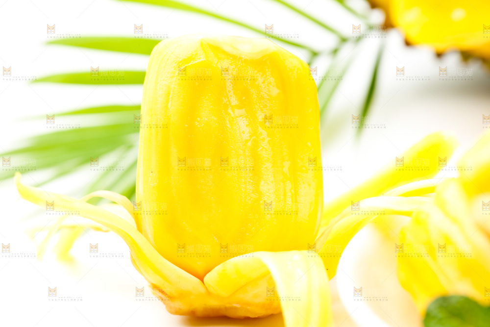白底上放着海南菠萝蜜