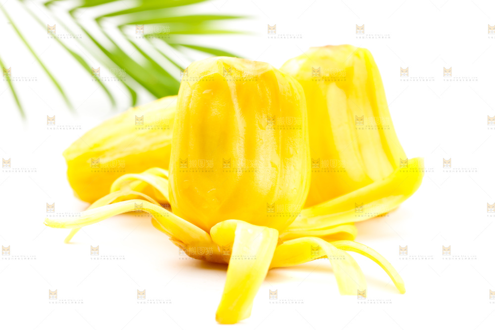浅底上的黄肉菠萝蜜