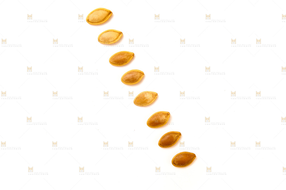 白底上的南瓜子