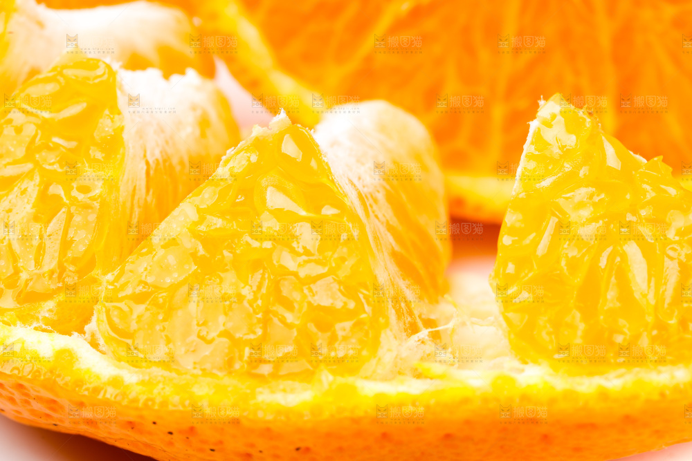 白底上的柑橘