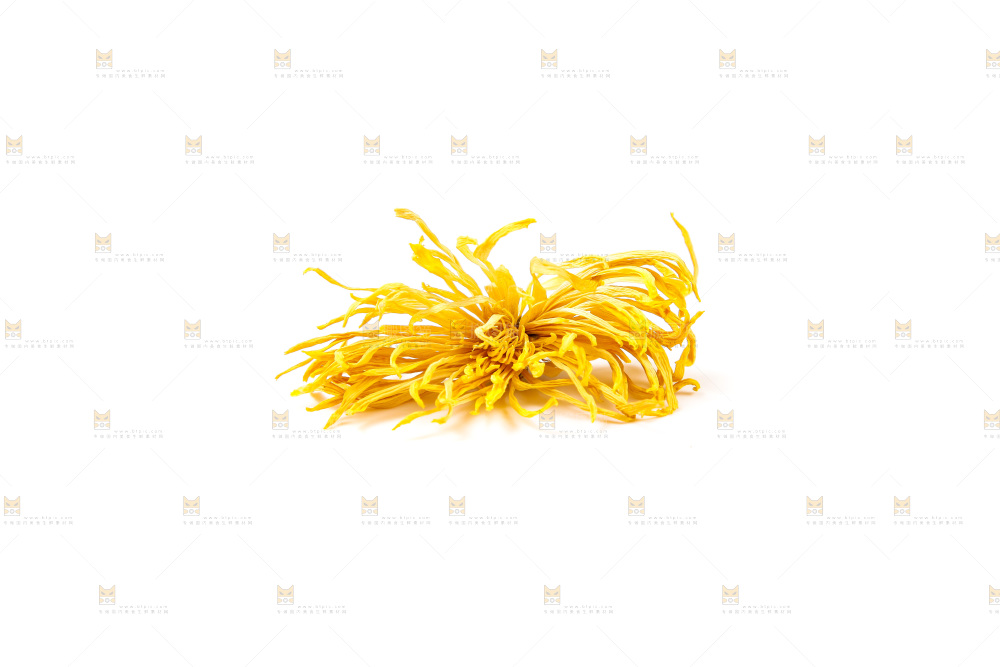 白底上放着干菊花