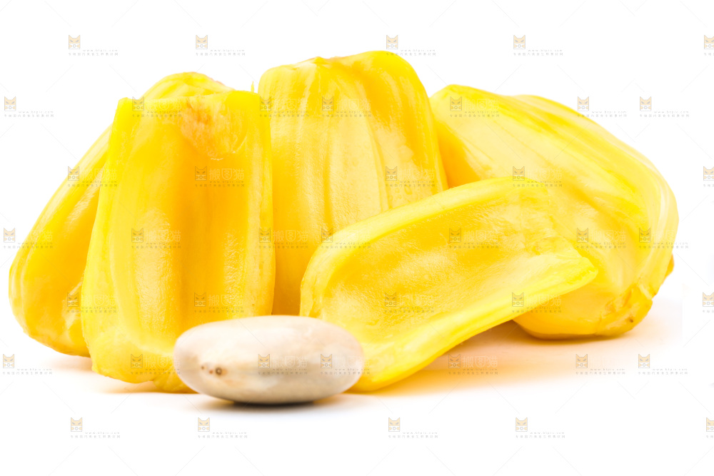 浅底上的海南菠萝蜜