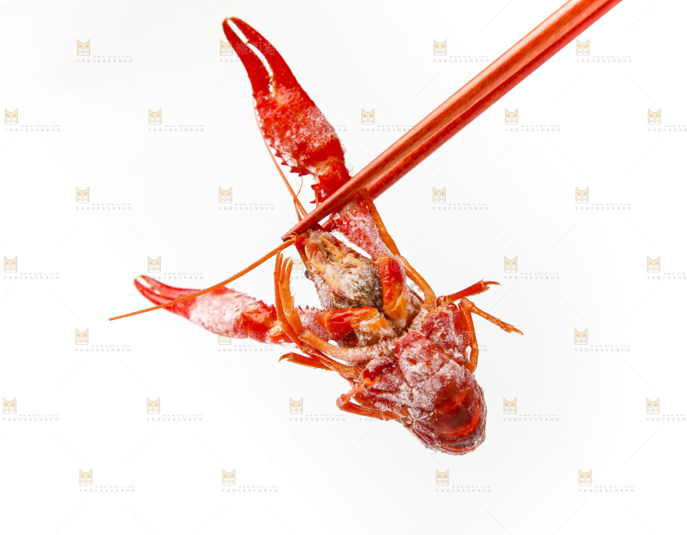白底上的小龙虾