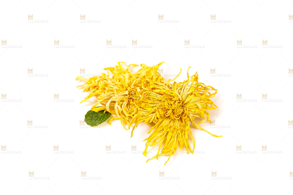 白底上放着干菊花