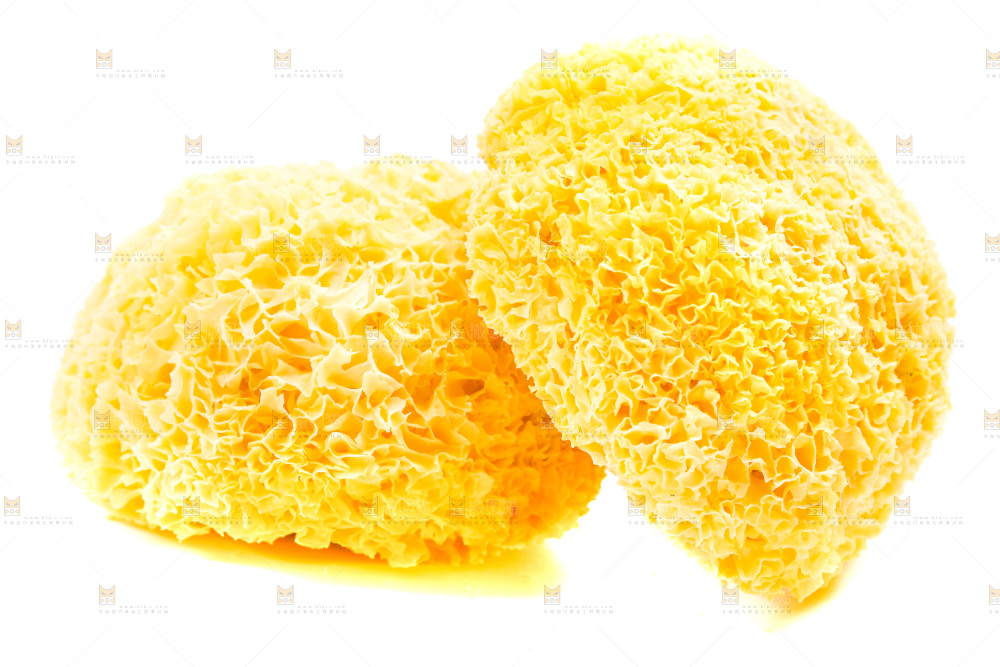 白底上放着古田银耳