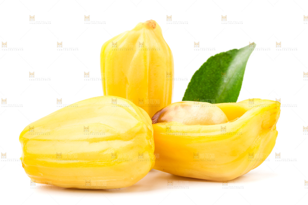 浅底上的海南菠萝蜜