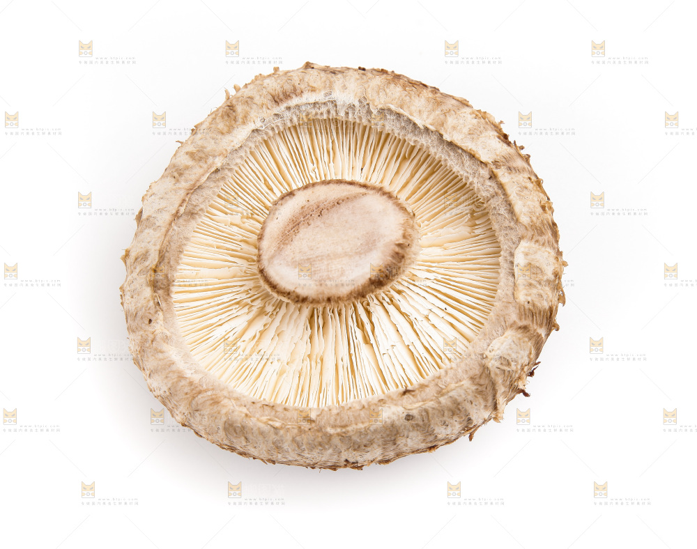 白底上放着花菇