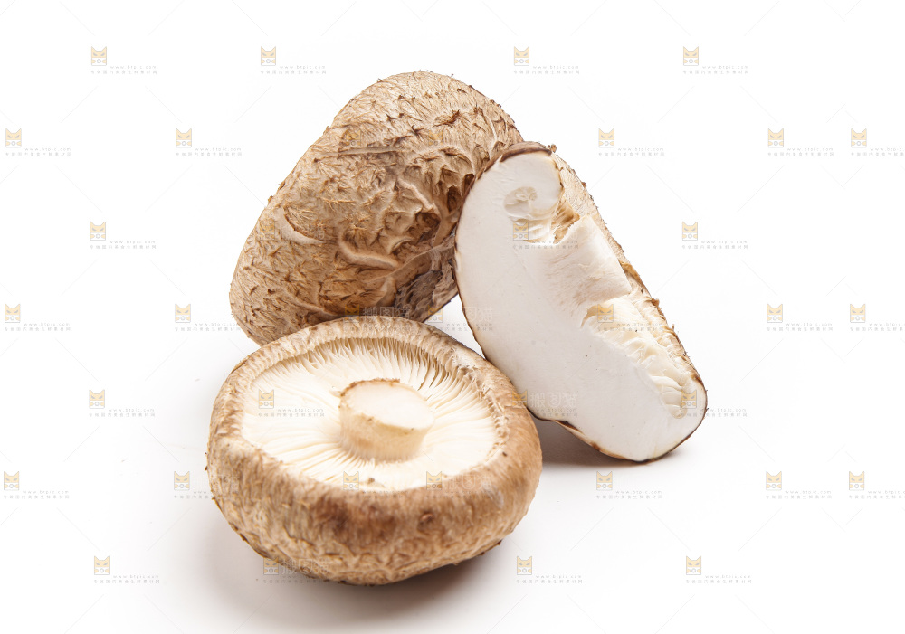 白底上放着花菇