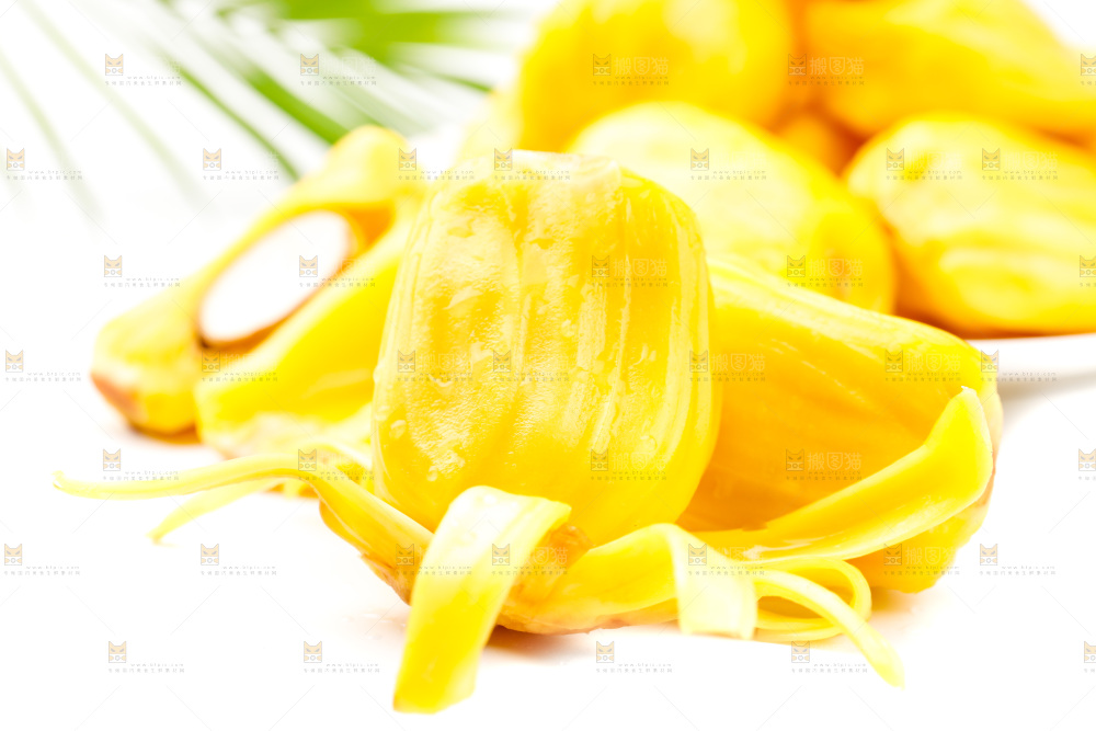 浅底上的黄肉菠萝蜜