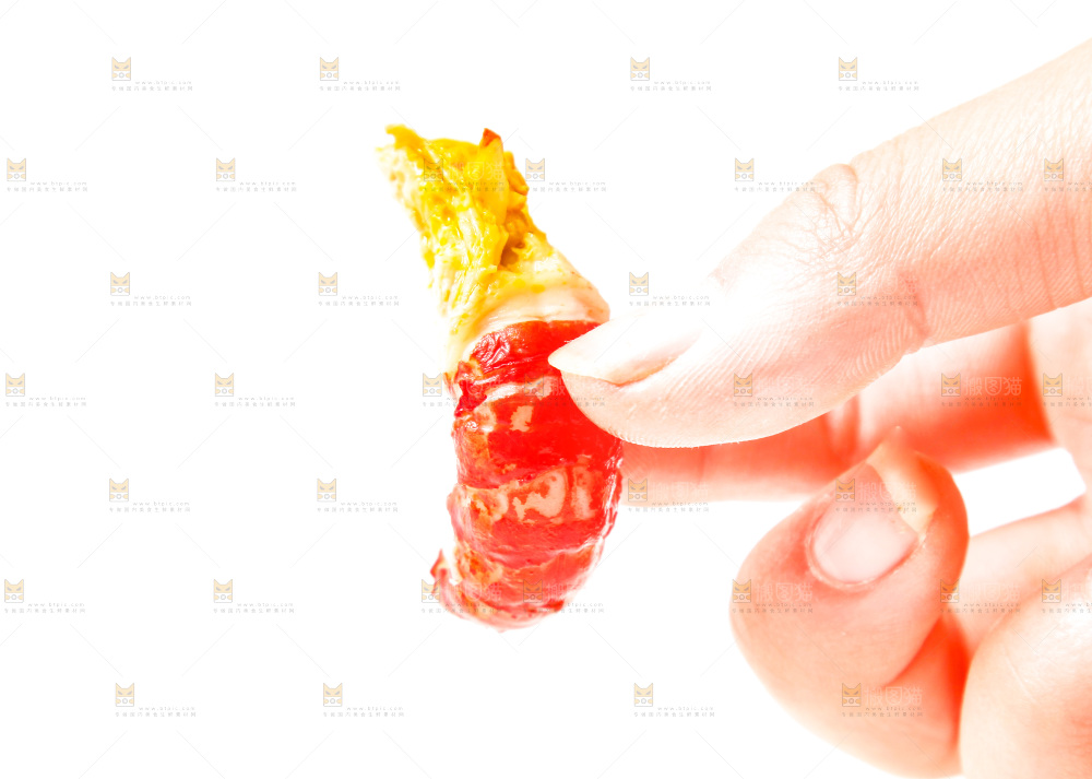 白底上的小龙虾