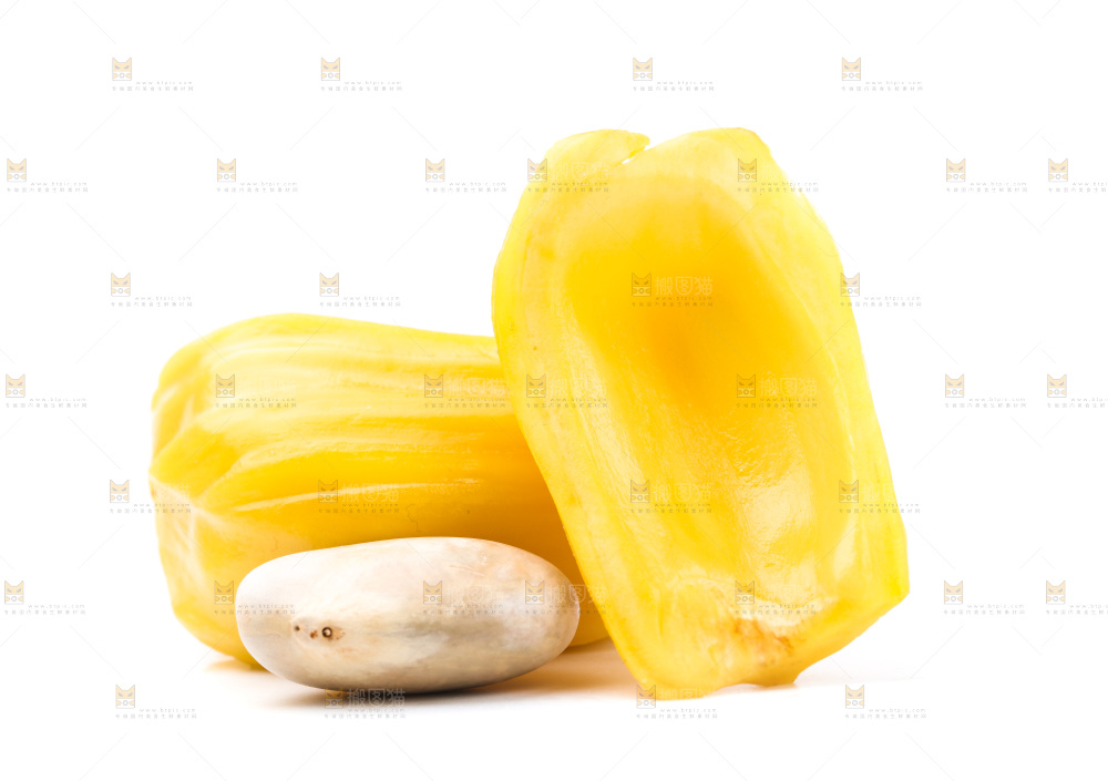 浅底上的海南菠萝蜜