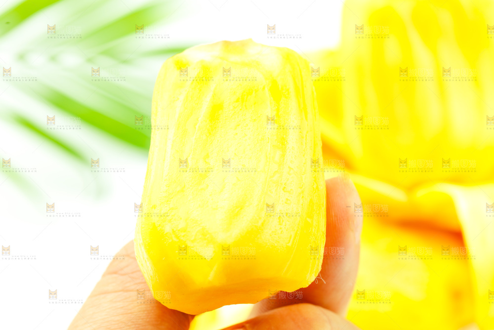浅底上的黄肉菠萝蜜