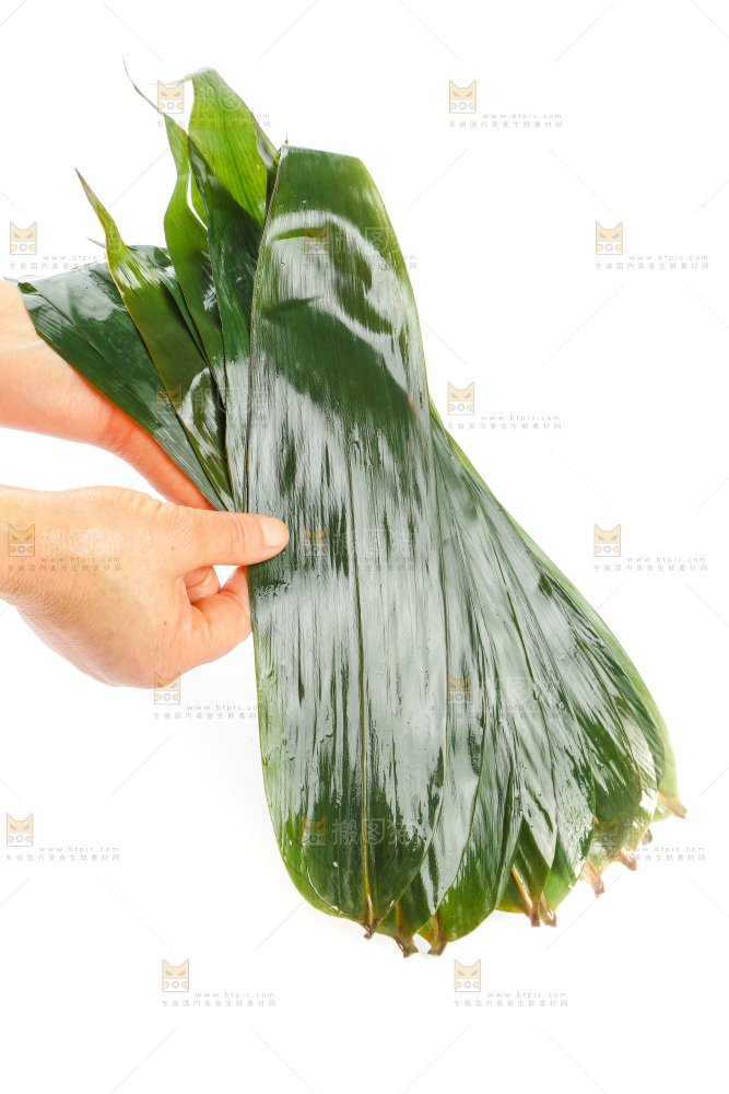 白底上的天然粽叶
