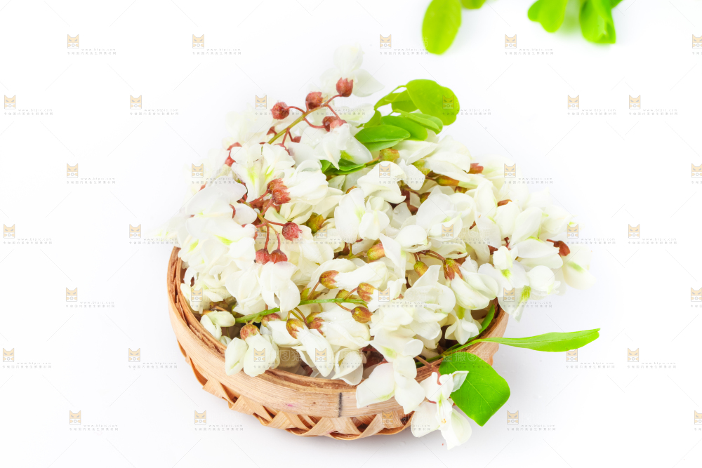 篮子里装着天然洋槐花