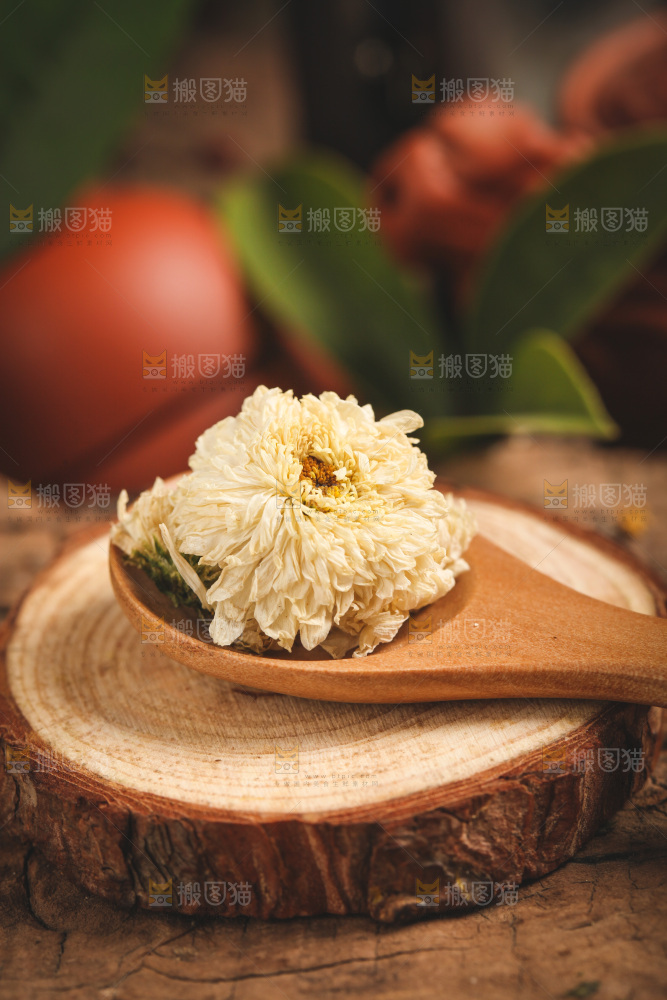 木底上勺子里的杭白菊