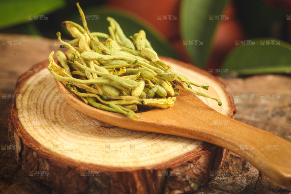 勺子里的金银花茶