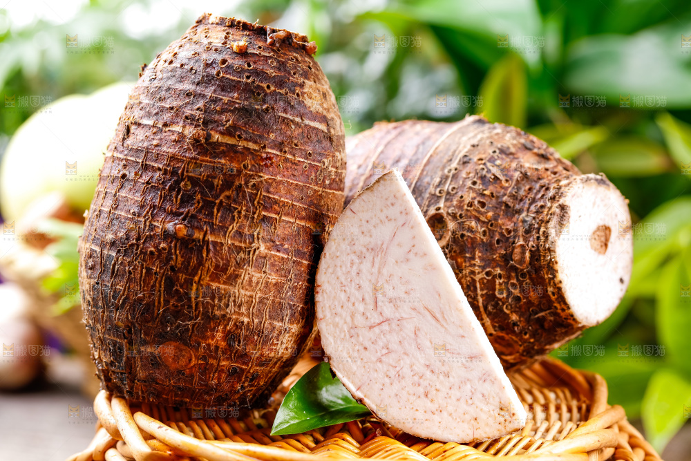 竹篮上放着广西荔浦芋头