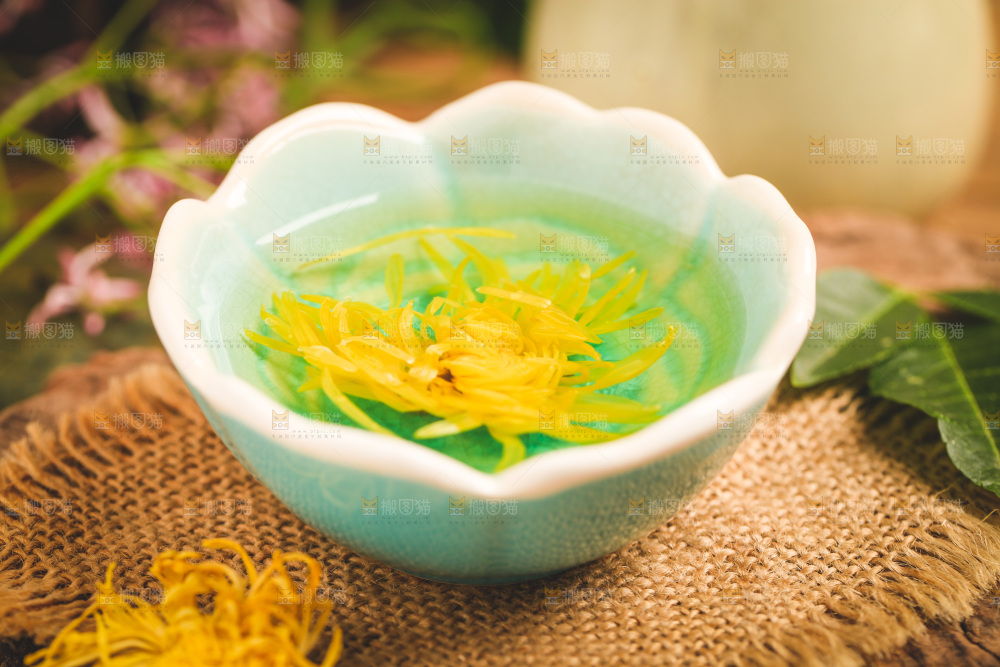 一盏金丝皇菊菊花茶