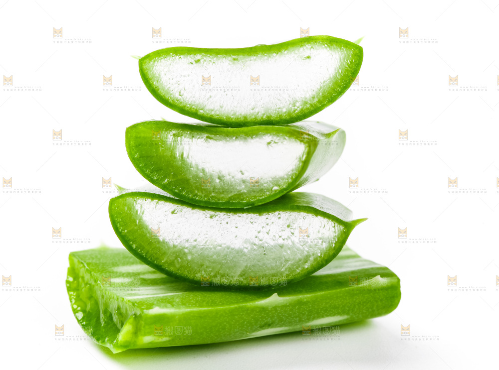 切开的芦荟片放在白底上