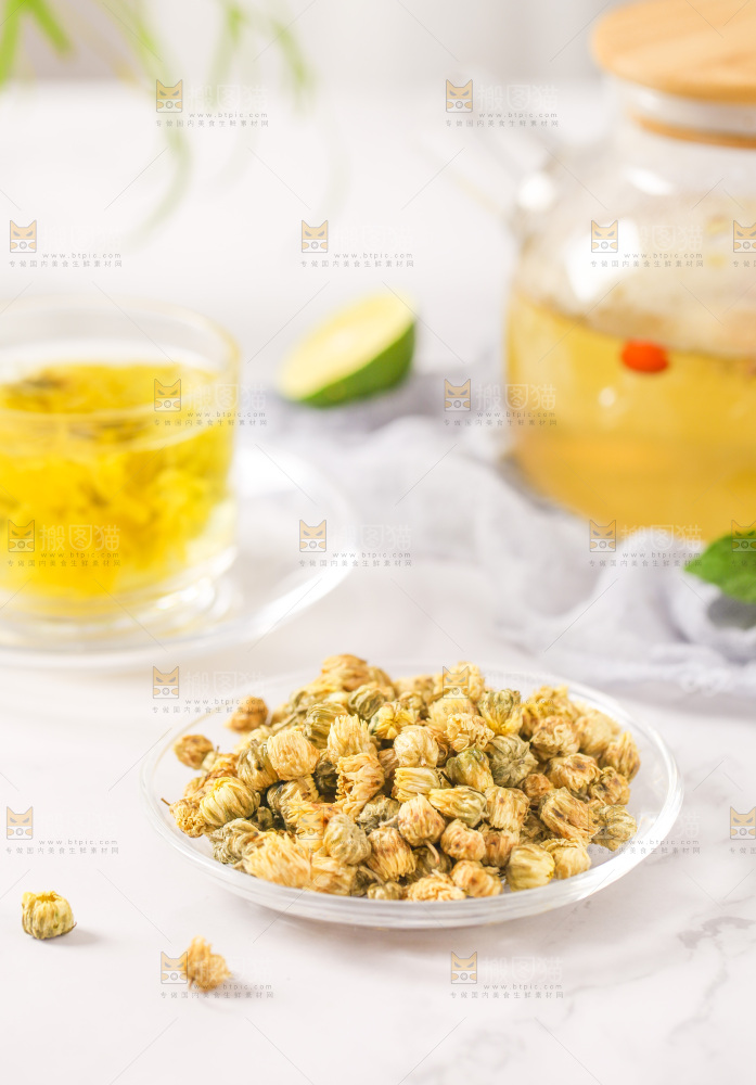 白底上放着一盘胎菊