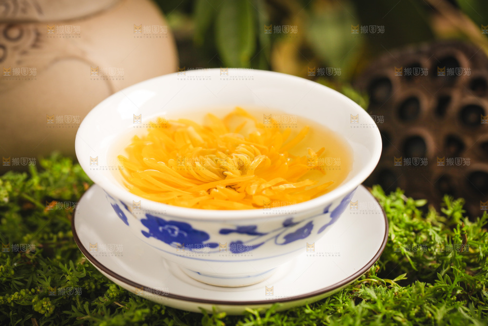 一杯金丝皇菊茶