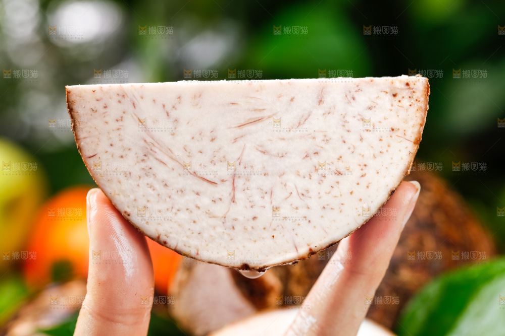 手上拿着香芋切块