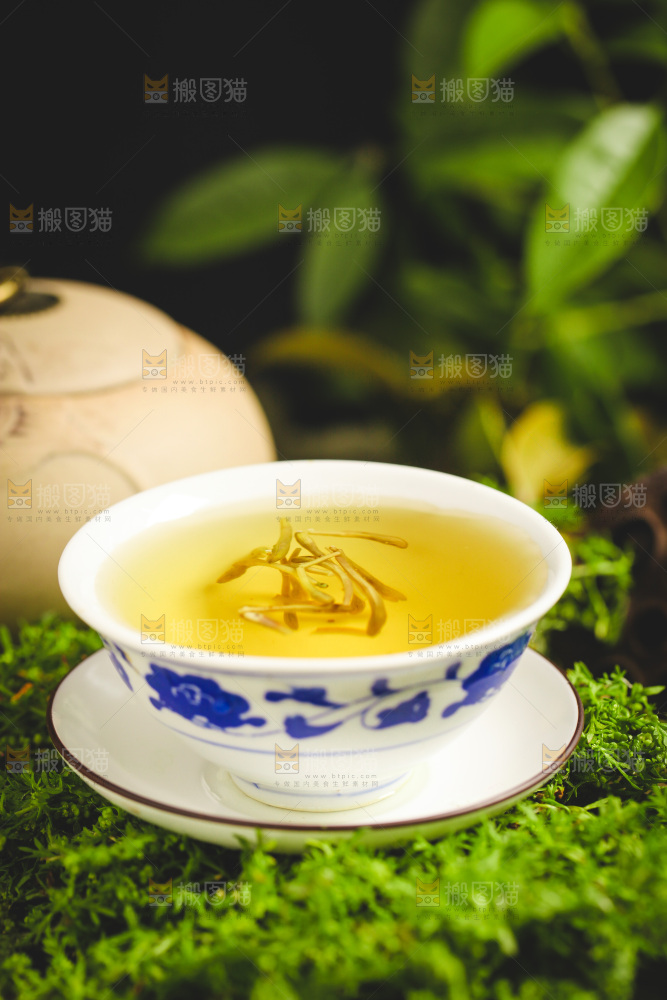 一杯金银花茶