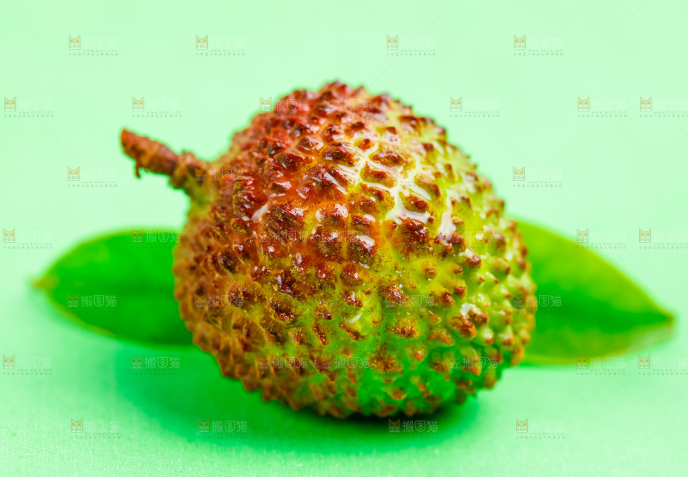 绿底上放着妃子笑荔枝