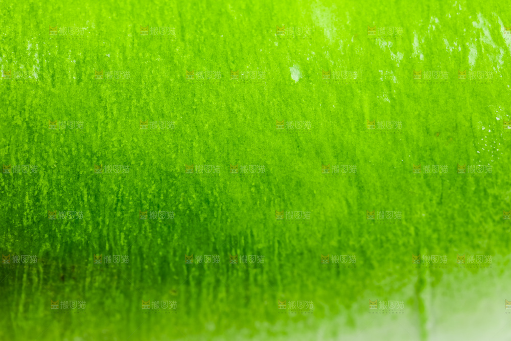 水果萝卜特写