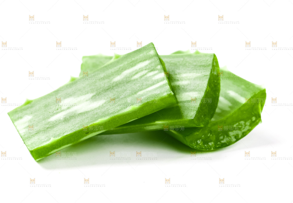 切开的芦荟片放在白底上