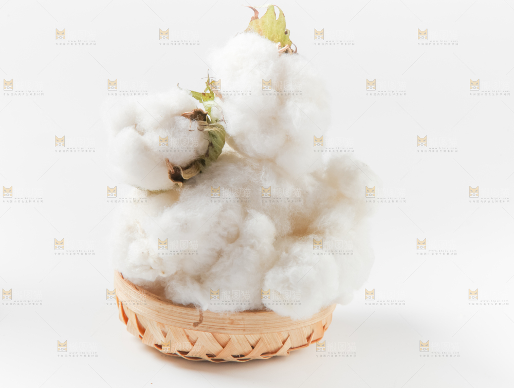 篮子里装着新疆棉花