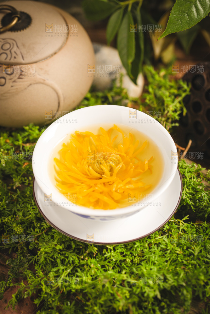 一杯金丝皇菊茶