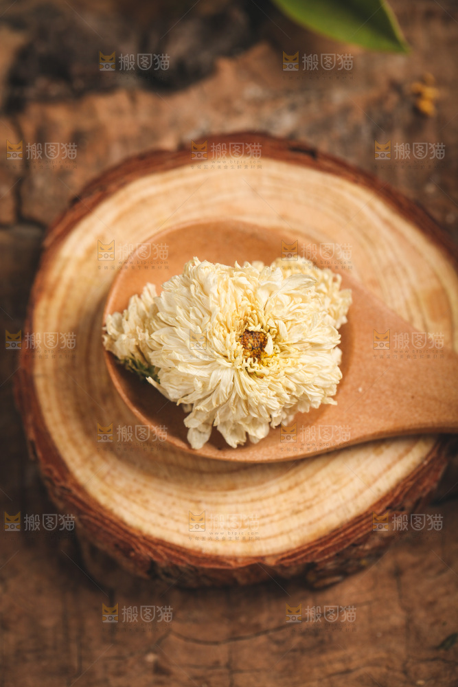 木底上勺子里的杭白菊