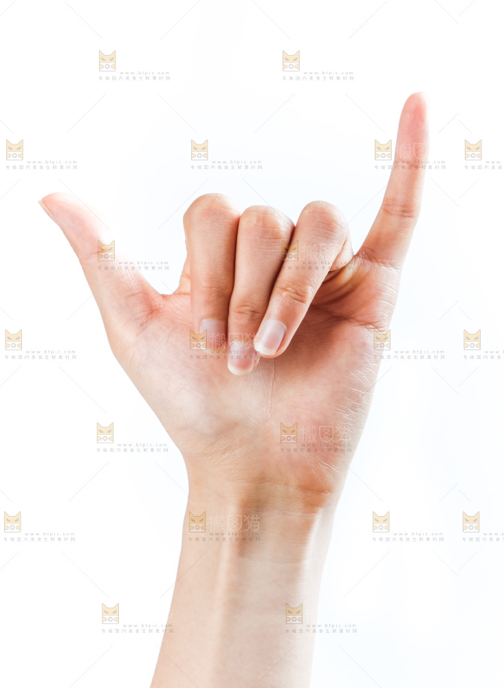 手的姿势