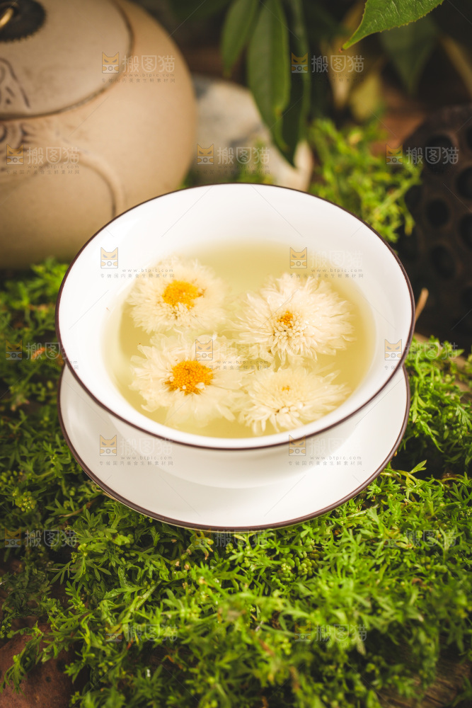 一杯杭白菊菊花茶