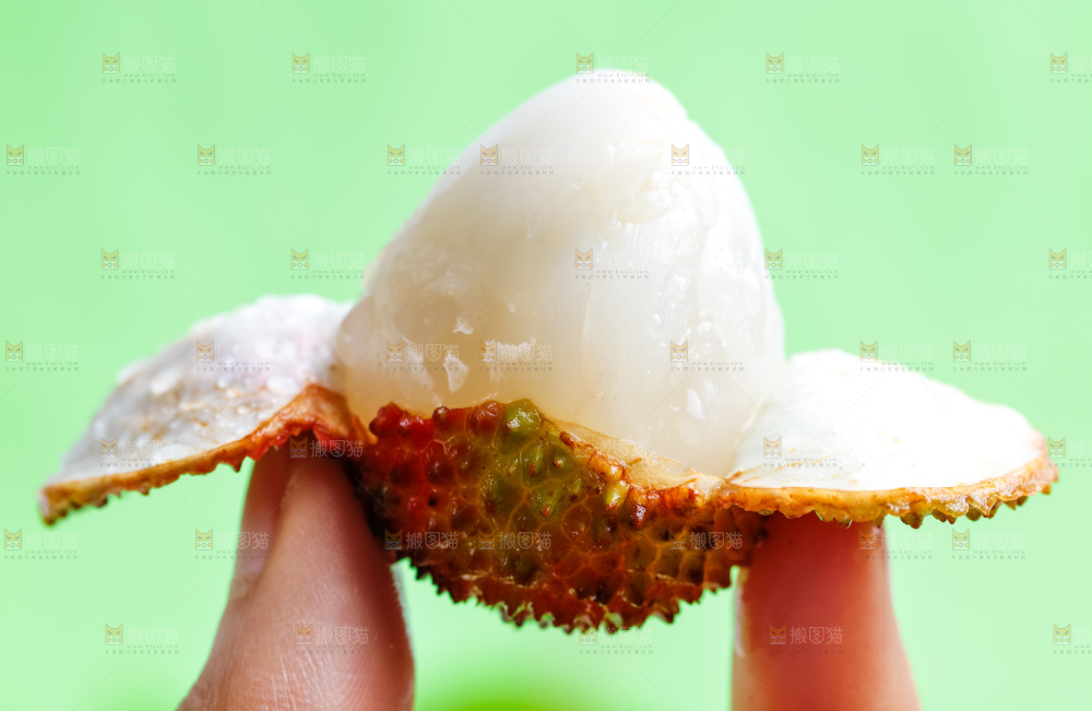 手上拿着剥开皮的荔枝