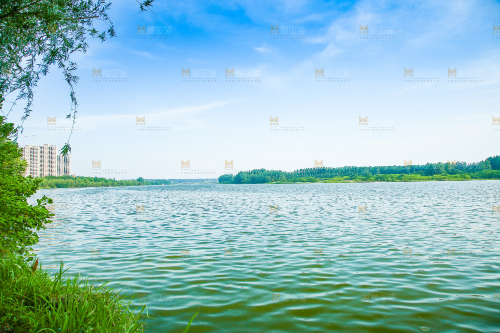 清澈的湖水