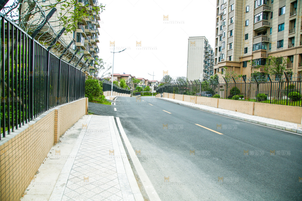 机动车道路