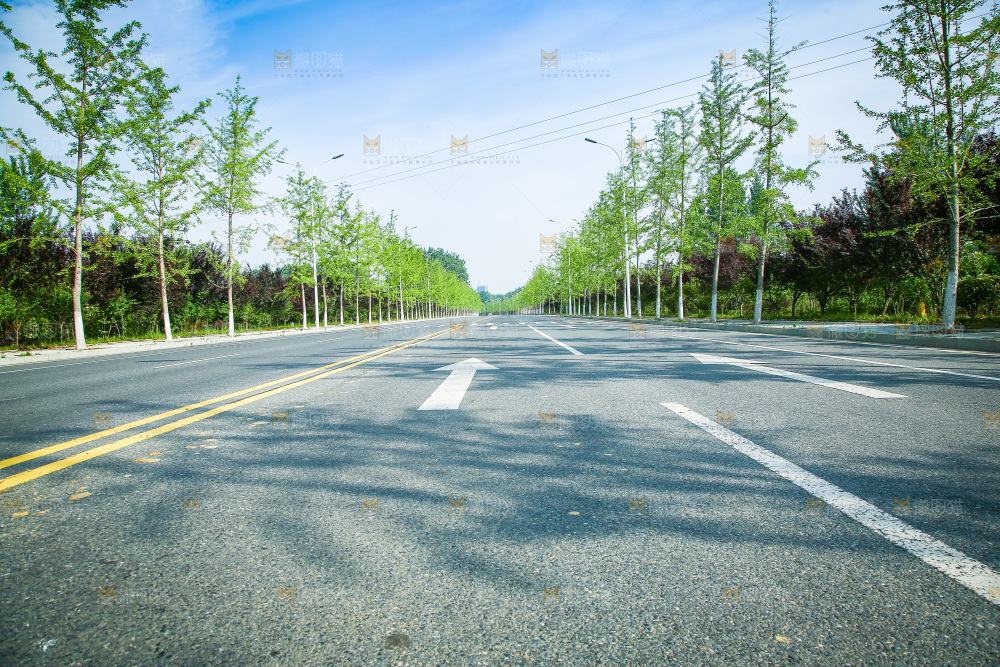 一条公路