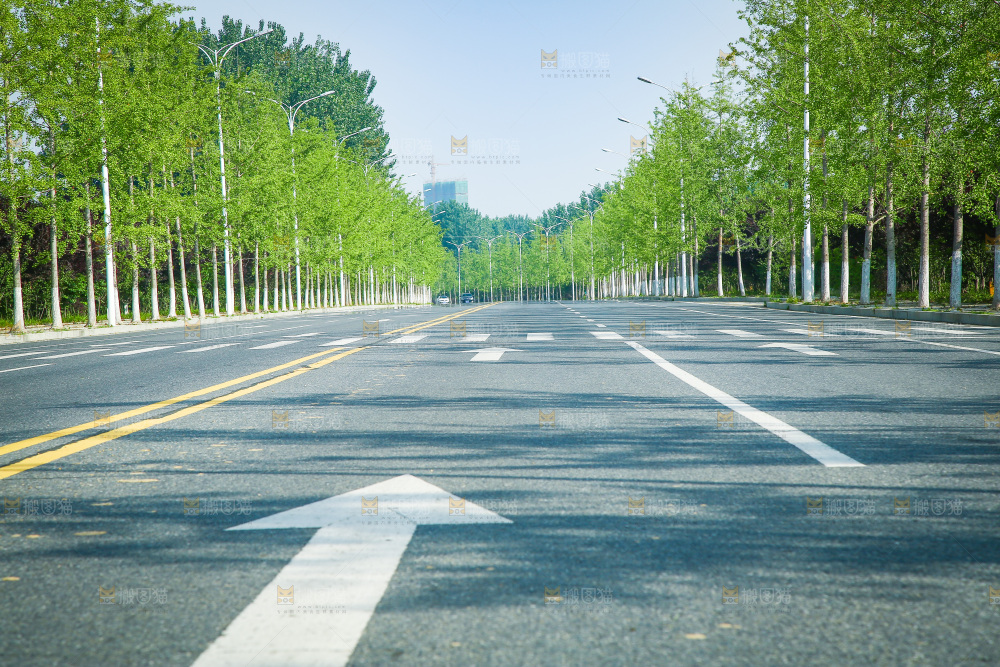 一条公路