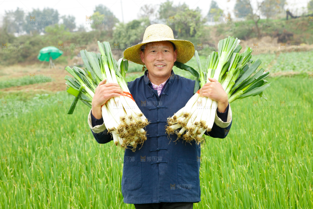 农民手里拿着大葱