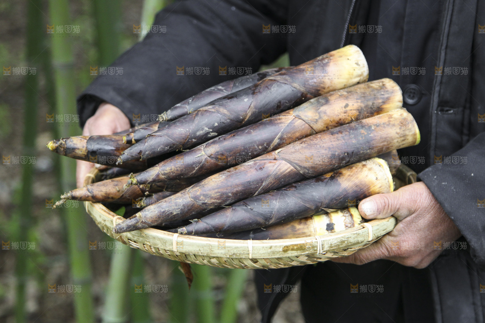 篮子里装着竹子