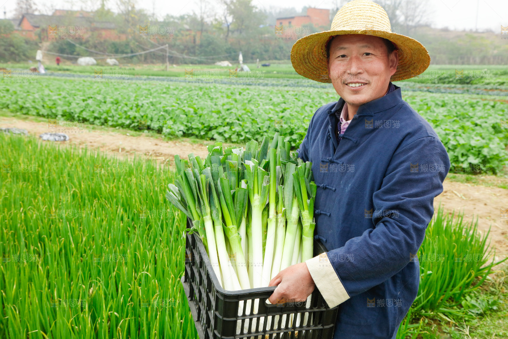 农民手里拿着大葱