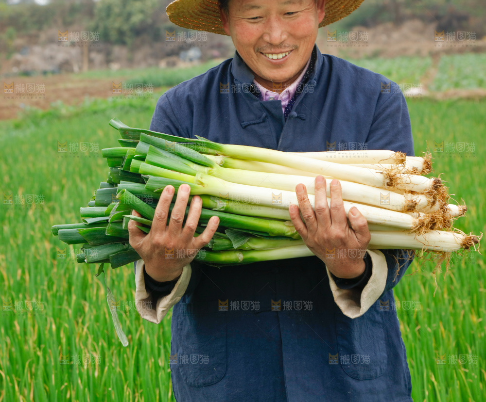农民手里拿着大葱