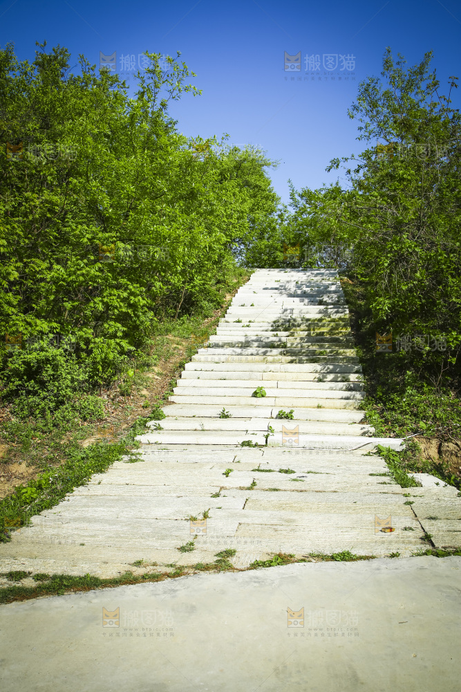 山间小路