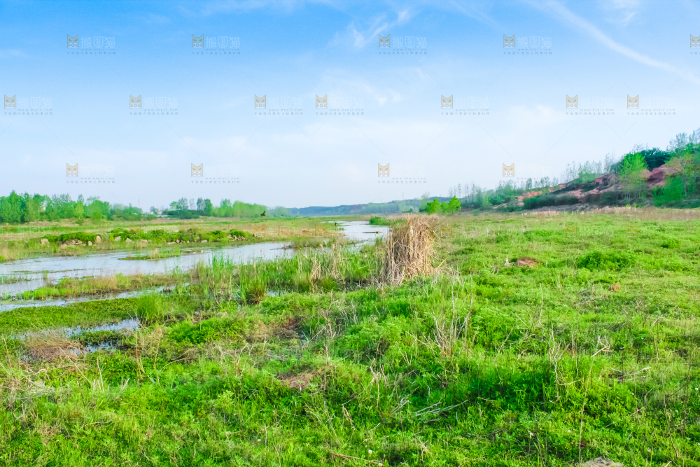 一条清澈的河流
