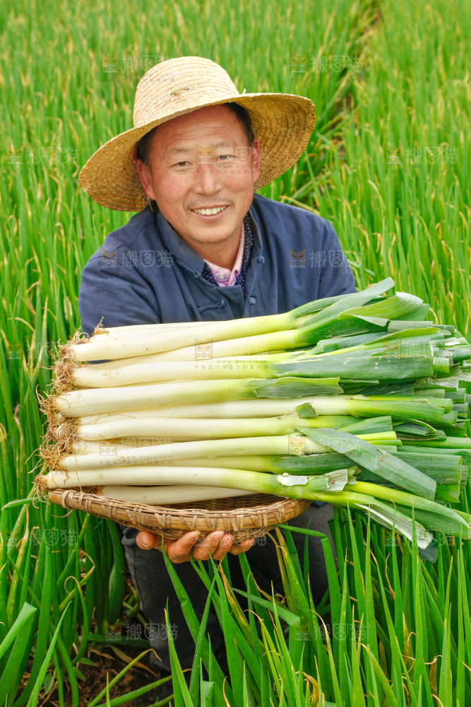 农民手里拿着大葱